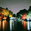 紅葉ライトアップ　薬師池公園