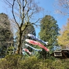 明神ヶ岳 … まで行けず