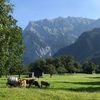 Swizerland Day46