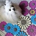 これからの時間