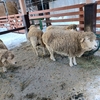 雪の円山動物園