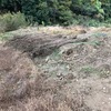 ブドウ畑の南側の丘の、草を取りました。2019-Ⅵ