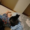 雨の夜は雑巾を縫う
