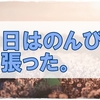 のんびり雑記を書きながら私の一日を振り返ってみようと思います。