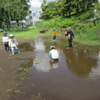 大きな水たまり