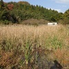 地籍調査の立ち会い　カモ猟