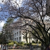 SSK (SunnySide of Kyoto)（+11/377）Kyoto University