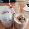 昆虫飼育　パラワンオオヒラタクワガタの菌糸ビン交換