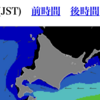 2020.03.02 ワッカケ岬　マガレイ調査