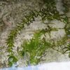 メダカの水替え