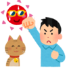 猫と夏の暑さを乗り切る！夏バテ対策３つとおすすめ冷感グッズ６選