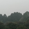 今朝の景色
