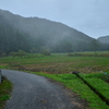 霧のち雨