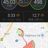 灼熱ラン🏃‍♂️保冷剤と蜂と～8月5日～