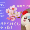 【ちいかわ】モモンガだらけくじ　引いちゃった！【爆死か神回か】実際の当選確率から引き換えまで