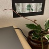 7月2日_どうすれば生きていけるのか