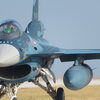 築城基地　日米共同訓練②　米軍F-15　航空自衛隊F-2