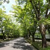 京都府立植物園