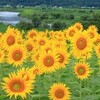 7月13日　月