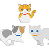 猫3匹