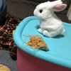 【仕事】仕事を抱えてもいい事ない。どんどん手放せばいいのに。