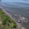 琵琶湖のほとりの屋上からの風景