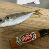 釣りは悪徳とされないギャンブルであろう