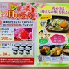 ますやみそ　母の日キャンペーン　5/6〆