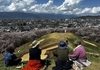 桜百景　弘法山　兎川寺