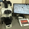 オリンパスAX80顕微鏡 Olympus AX80 microscope