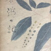 茶粥の記　矢田津世子