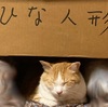 嘘と私