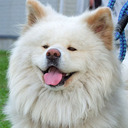 グローバル経営コンサル＠株