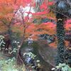 大岡川ウォーキング