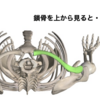 胸を広くするのをがんばるよりも・・