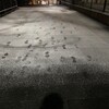 雪が積もった