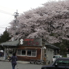 2016.04.10 (SUN) 弘法山古墳の桜