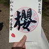【新ひだか②】桜咲き馬駆ける町〜花より団子、団子より花？〜