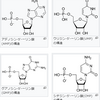 プリン体とは一体何者なのか？