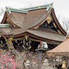 北野天満宮節分祭2019～北野追儺狂言と上七軒芸舞妓日本舞踊