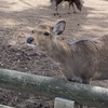 ユニクロはとうの昔に卒業しました