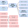 肩甲骨の運動とその役割を正しく理解しよう