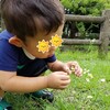 モンテッソーリ教育とは？ ～子育て初心者の父親が学ぶ、自立を促すこどもとの向き合い方～