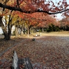 秋の公園と村社　八剣社