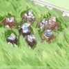 【競馬】アイビスサマーダッシュ（GⅢ）クイーンステークス（GⅢ）