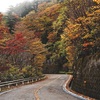 秋の紅葉ドライブ　石鎚スカイライン