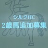 シルクHC追加募集2019(2017世代)　募集馬評価