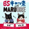 ＢＳテレ東7chは 2にゃん月22にゃんにゃん日（水）猫の日に 「ＢＳキャッ東」