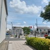 (巻四十四) 今日ありと思ふ余命の冬桜(中村苑子)