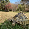 バランスと神聖なタイミング